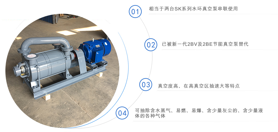 2SK系列水环式真空泵